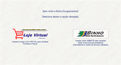 Desktop Screenshot of binhoescapamentos.com.br